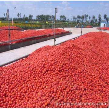 Fruta de tomate vegetal en polvo para hacer máquina